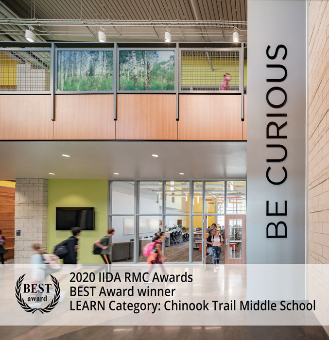 CTMS IIDA Award